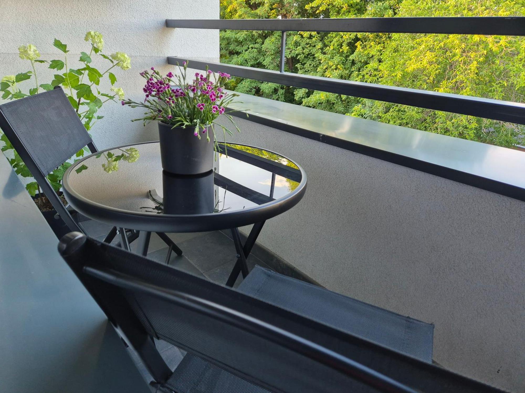 Willa Raclawicka Apartments Πόζναν Εξωτερικό φωτογραφία